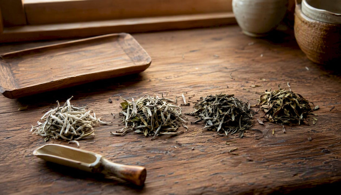 Four white tea varieties loose leaves on rustic table