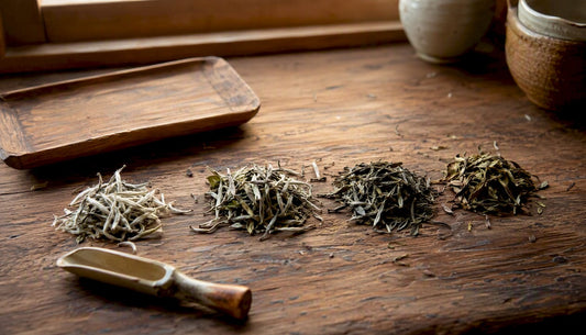 Four white tea varieties loose leaves on rustic table