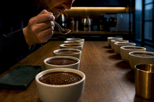 Blind coffee cupping bowls under warm light